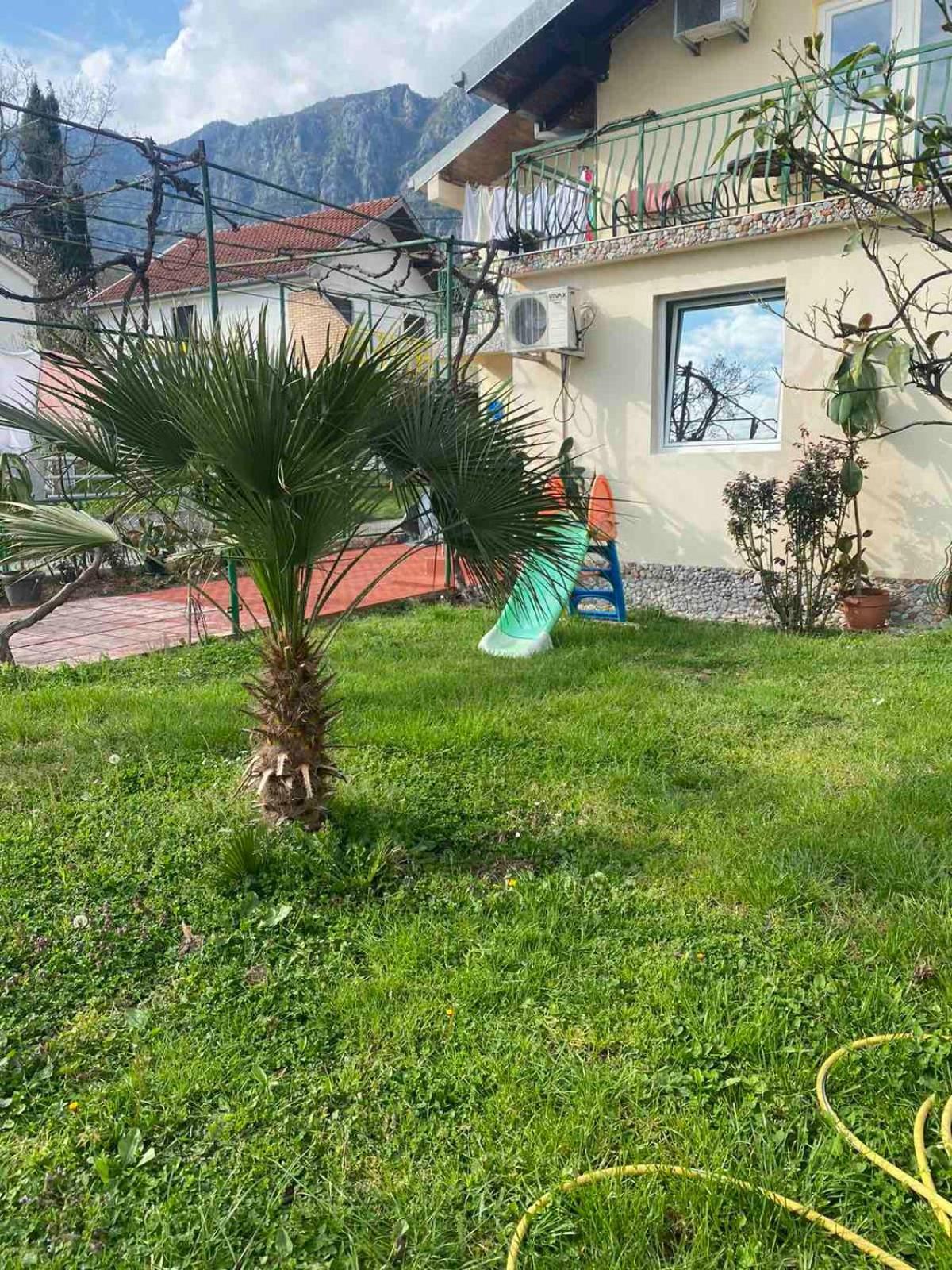 Apartmani Zelenika Herceg Novi Phòng bức ảnh