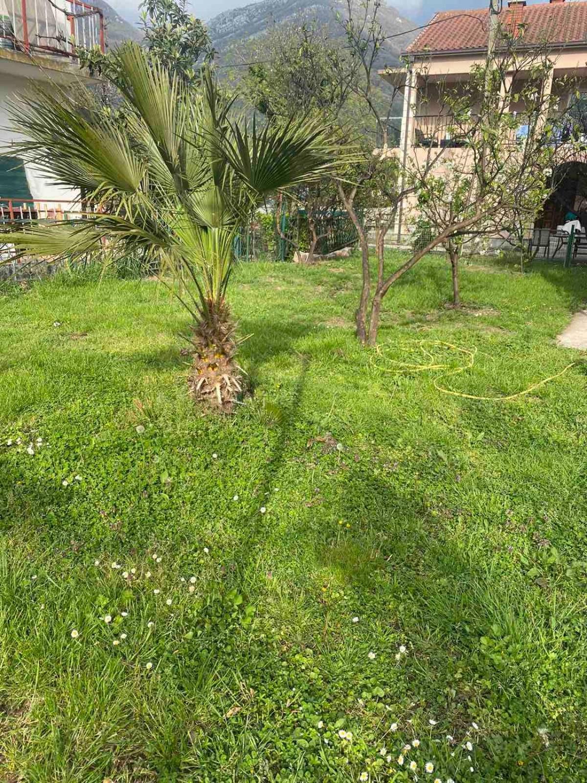 Apartmani Zelenika Herceg Novi Phòng bức ảnh